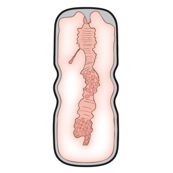 Stroker Oral Style Masturbator