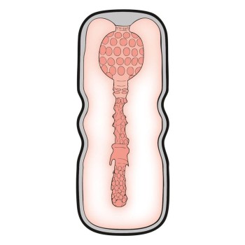 Stroker Anal Style Masturbator