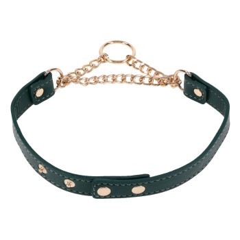 Sportsheets Indica Day Halsband