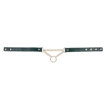 Sportsheets Indica Day Halsband