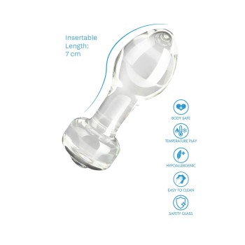 ToyJoy Glass Worxx - Anal Stargazer