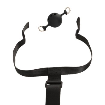 Bad Kitty Bondage Set with Anal Hook & Mouth Gag