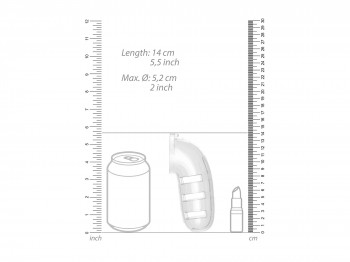 MANCAGE 12 Peniskäfig mit Analplug aus Kunststoff 14 cm trans