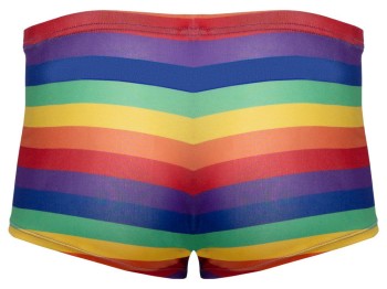 Svenjoyment Pants in Regenbogenfarben