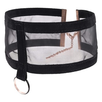 Sportsheets Sex & Mischief Sheer Day Halsband