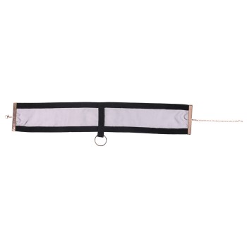 Sportsheets Sex & Mischief Sheer Day Halsband