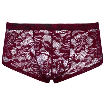 Svenjoyment Pants aus dunkelroter floraler Spitze