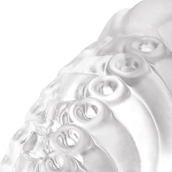 Mythical Mates - Tentacle Play Jelly Dildo Clear