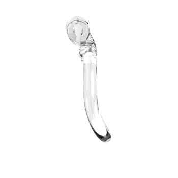 CellMate - Guardian Chastity Cage Clear Size 4