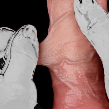 Lebensechter Silikon Dildo - Hyper Realistic Skin