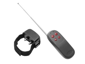 Master Series Cock Shock - Elektro Cockring mit Fernbedienung