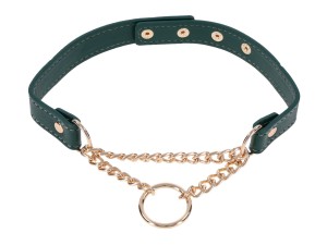 Sportsheets Indica Day Halsband