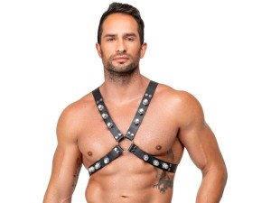 Zado Leder-Brustharness mit Kuppel-Ziernieten