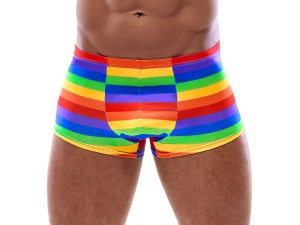 Svenjoyment Pants in Regenbogenfarben