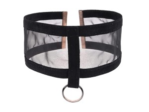 Sportsheets Sex & Mischief Sheer Day Halsband