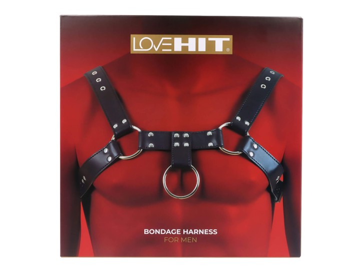 Virgite Brustharness Model 2 schwarz