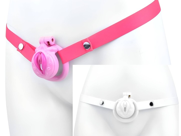 Sissy Cage Deluxe - Peniskäfig mit Hüftgurt inkl. 4 Ringe